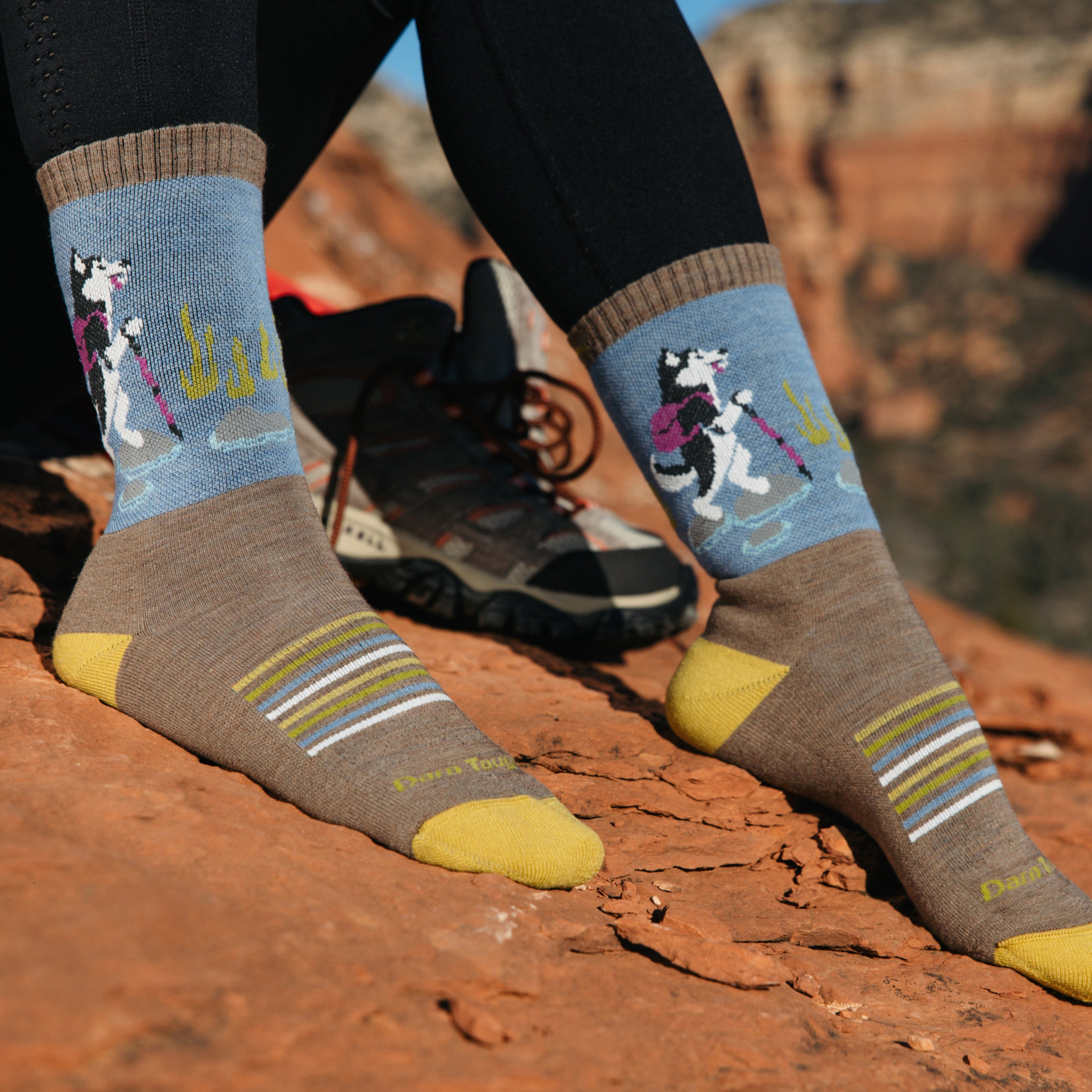 Women's Critter Club Micro Crew Lightweight Hiking Socks - Image 11